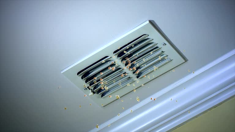 Best Best Air Duct Cleaning Company  in Fort Irwin, CA