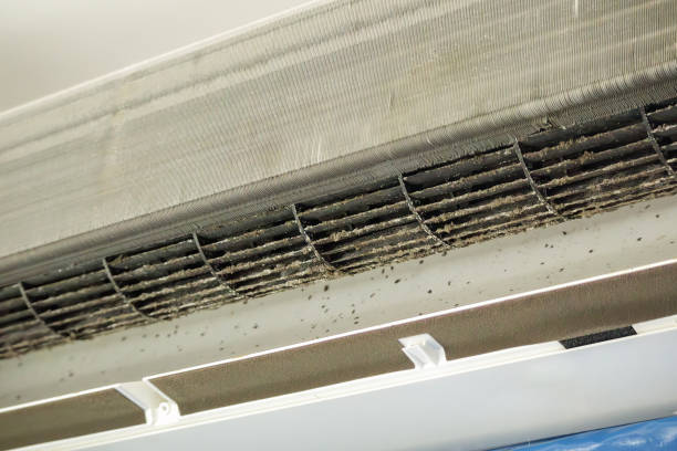 Best HVAC Air Duct Cleaning  in Fort Irwin, CA